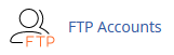 How to Change the Password of the FTP Account in cPanel
